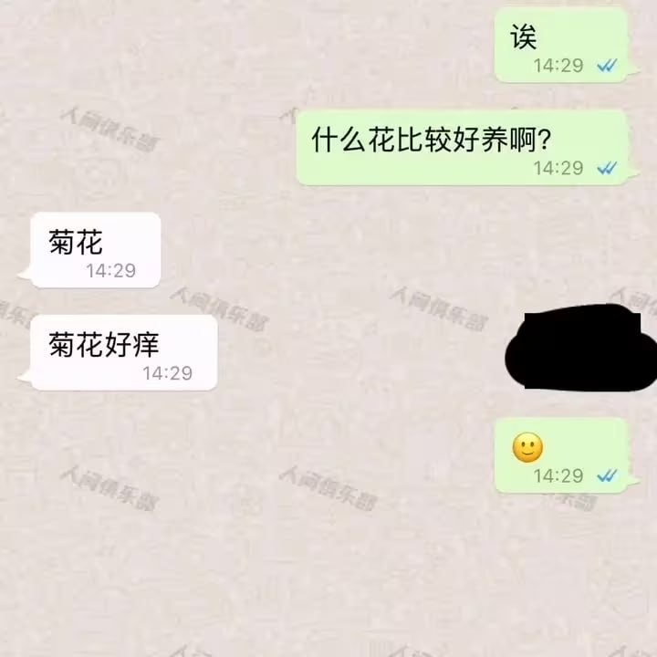 HeHeDa: 