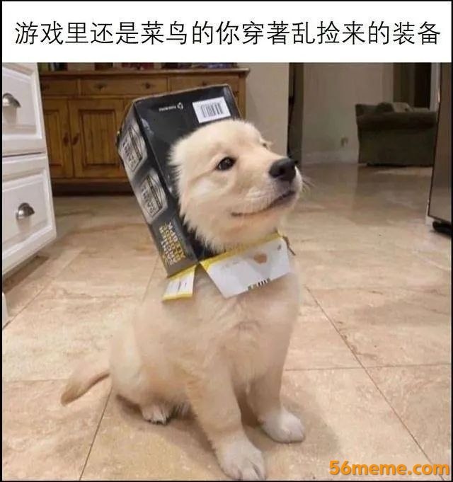 Jojo123: jandan.net/t/6130518OO: 126 XX: 1两杯豆浆: 这个阶段是玩的最开心的时候OO: 44, XX: 0af1aa: 好看又好玩OO: 5, XX: 0