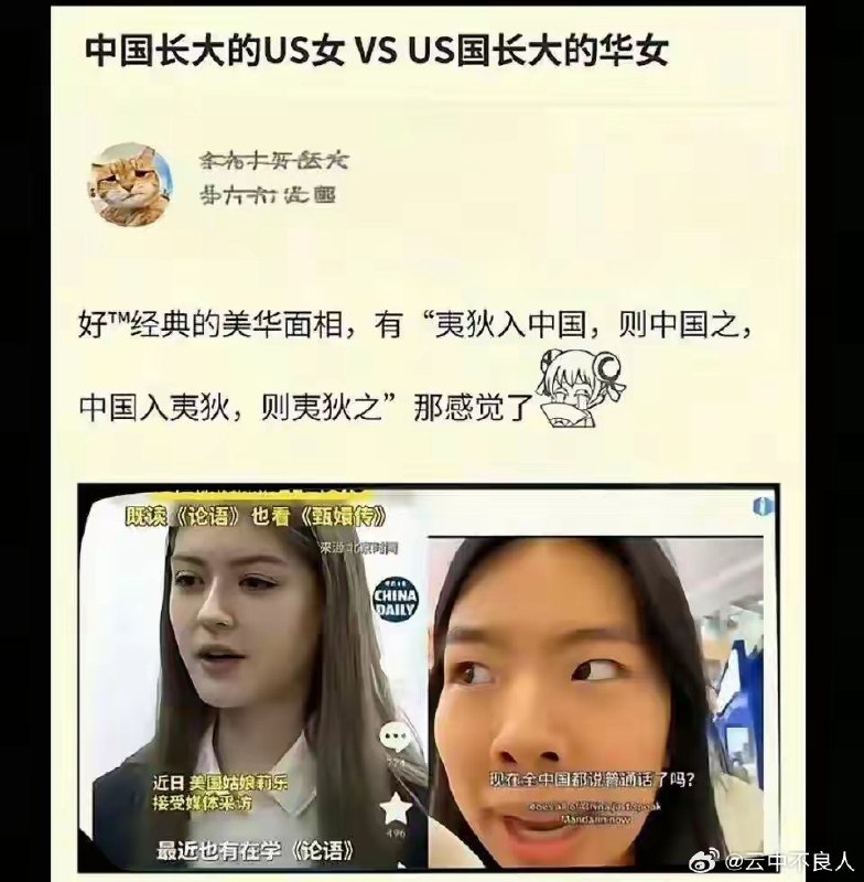 坏坏兔: 