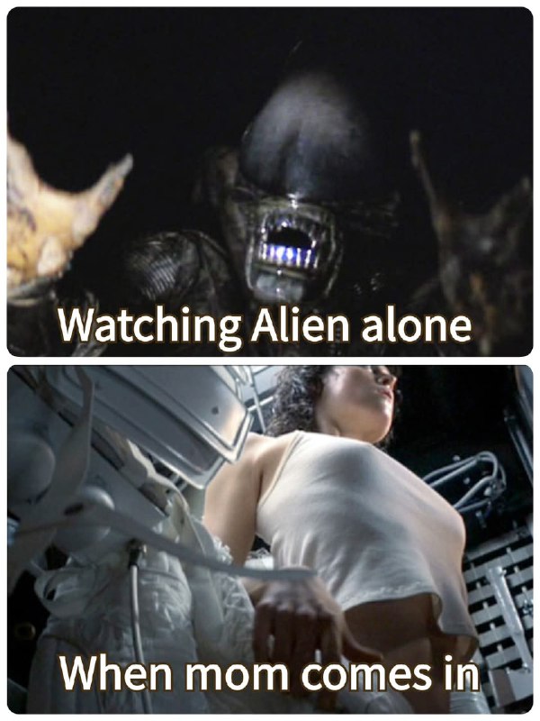 HeHeDa: 