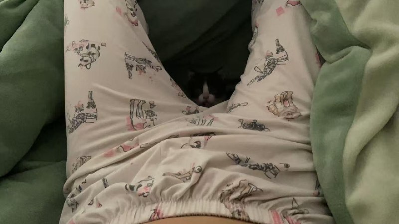 骸客地瓜: jandan.net/t/6127887OO: 121 XX: 18女澡堂搓澡师傅: 几把猫OO: 30, XX: 0骑单车啦: 猫：这儿味冲，我喜欢！OO: 11, XX: 0