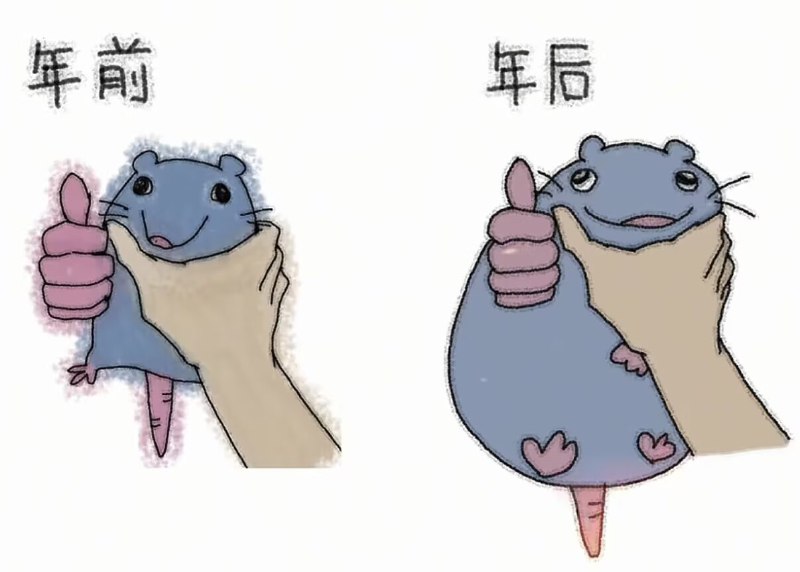 HeHeDa: 