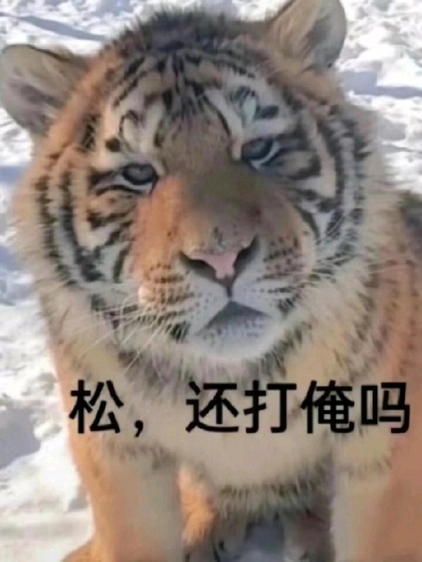 HeHeDa: 