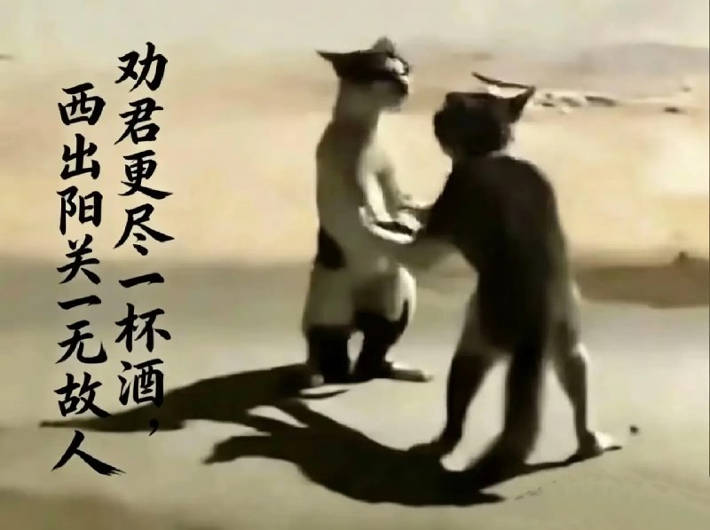 嗷嗷嗷: jandan.net/t/6138371OO: 118 XX: 8细思极k: 不喝了，你我决一雌雄！OO: 15, XX: 0xiangpica: 多了一个“一”OO: 13, XX: 0