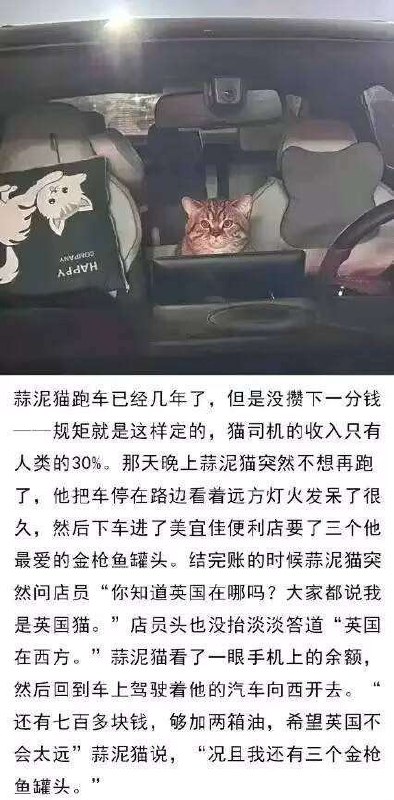 杯面骑士: 