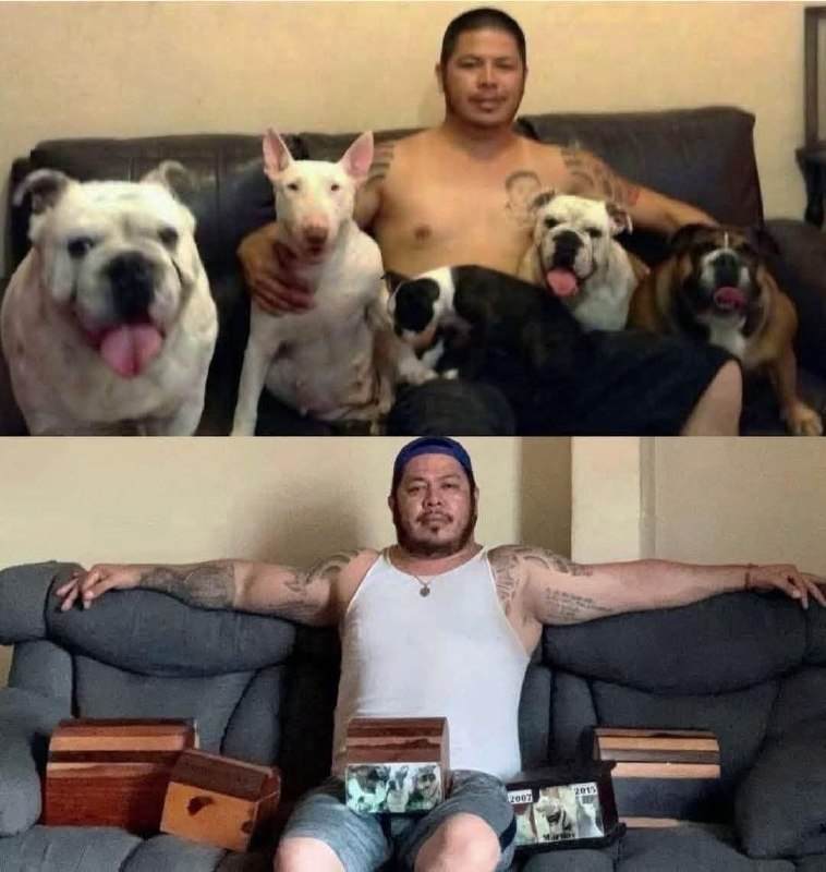 HeHeDa: jandan.net/t/6127530OO: 141 XX: 5小河水: 未亡人OO: 46, XX: 0SubzeroOnce: 养宠物就是种下一颗悲伤的种子OO: 36, XX: 0海底捞人: 我的狗狗去世了，我想我再也不会养狗了，我上网找了一个做陶艺的师傅，捏了一只狗狗的模型🥺