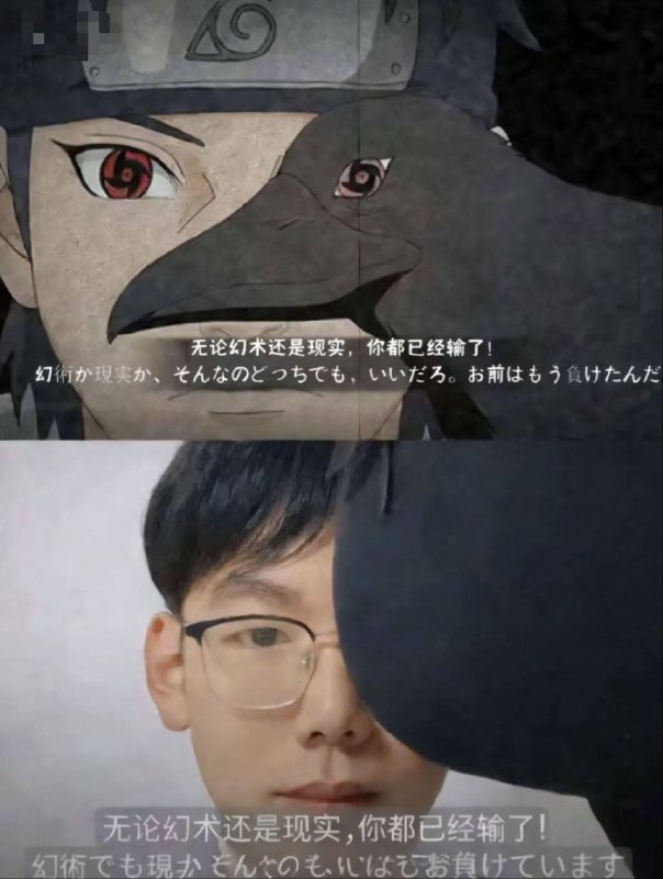 鸡掰猫猫: 
