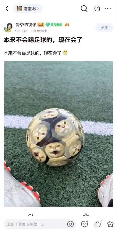 HeHeDa: jandan.net/t/6127559OO: 159 XX: 52大鱼: 会往死里踢？OO: 13, XX: 1