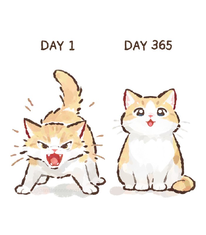 bba34: 