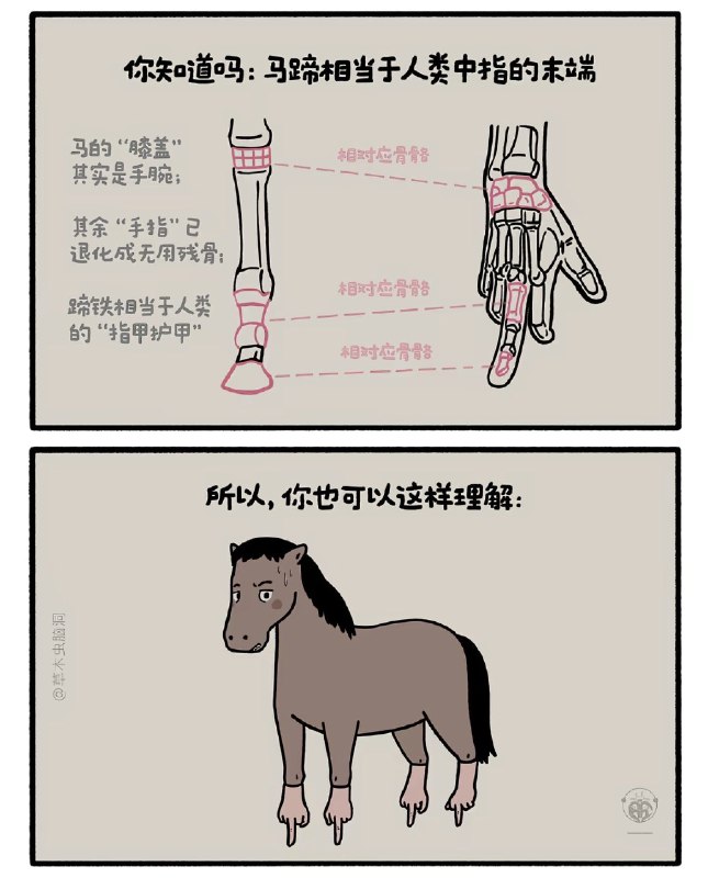 HeHeDa: 
