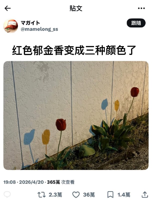 嗷嗷嗷: jandan.net/t/6132016OO: 150 XX: 6fz: 你这白平衡不对啊OO: 7, XX: 0