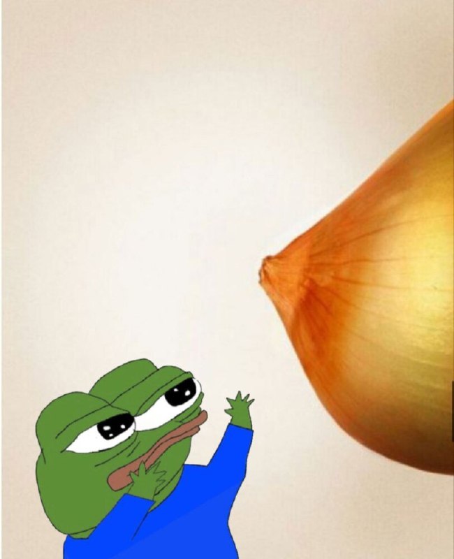 飞翔者: 