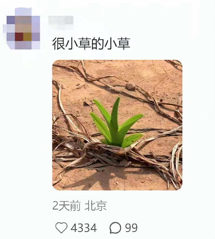 猫猫123: 