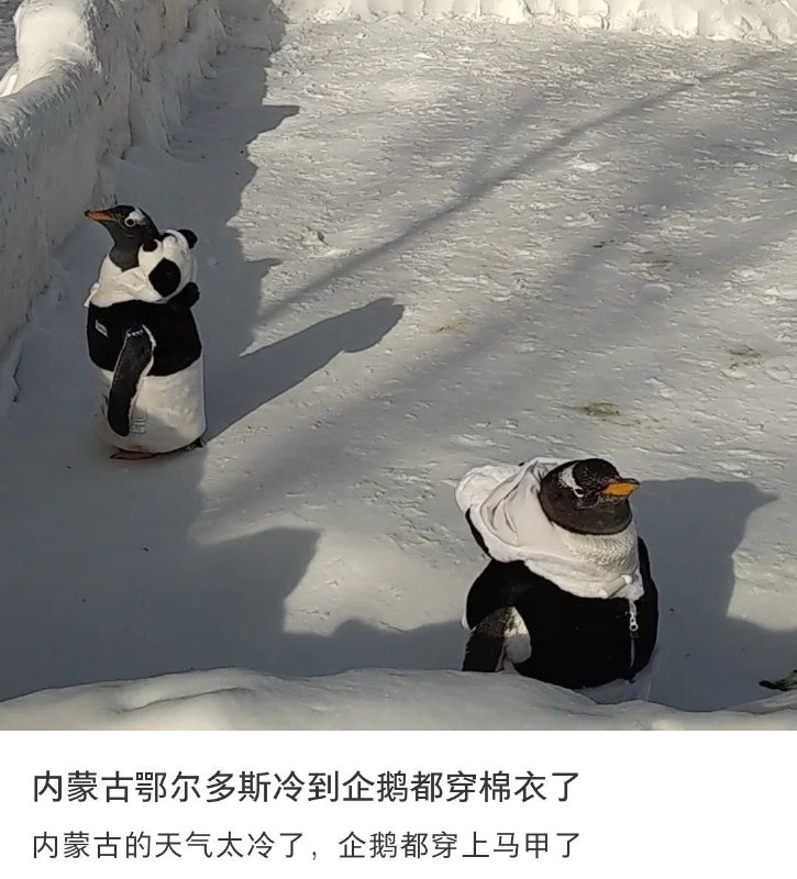 种田能手: 