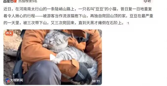 浮华暂借问: 