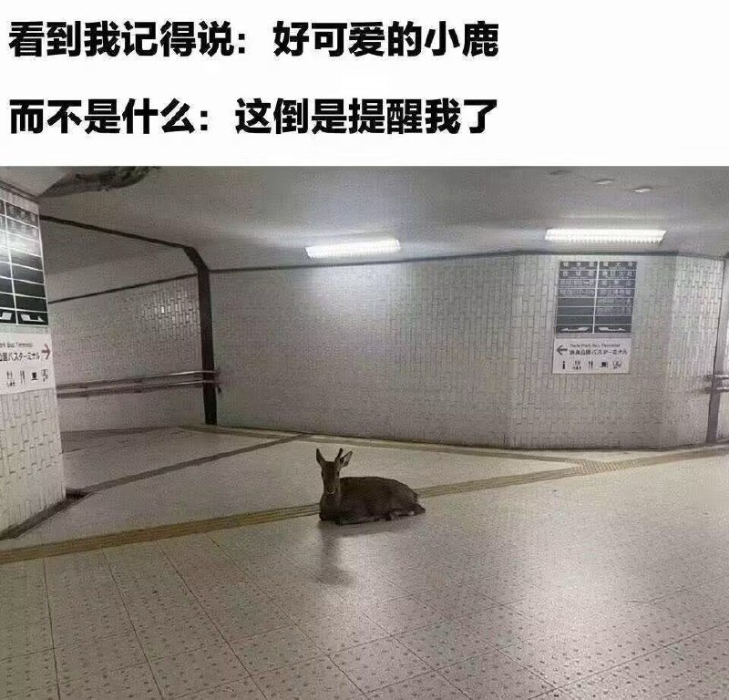 种田能手: 