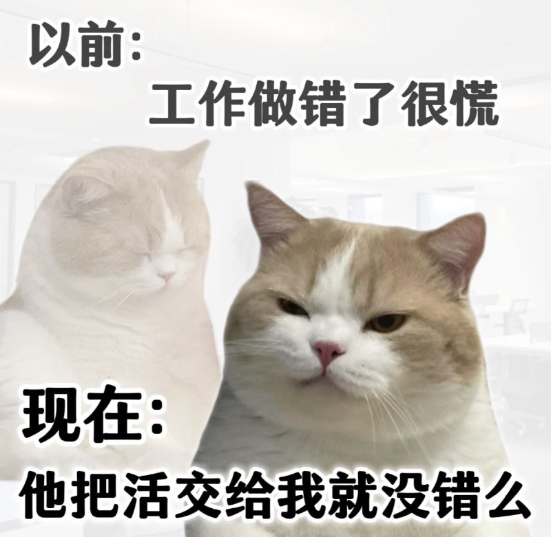 HeHeDa: 