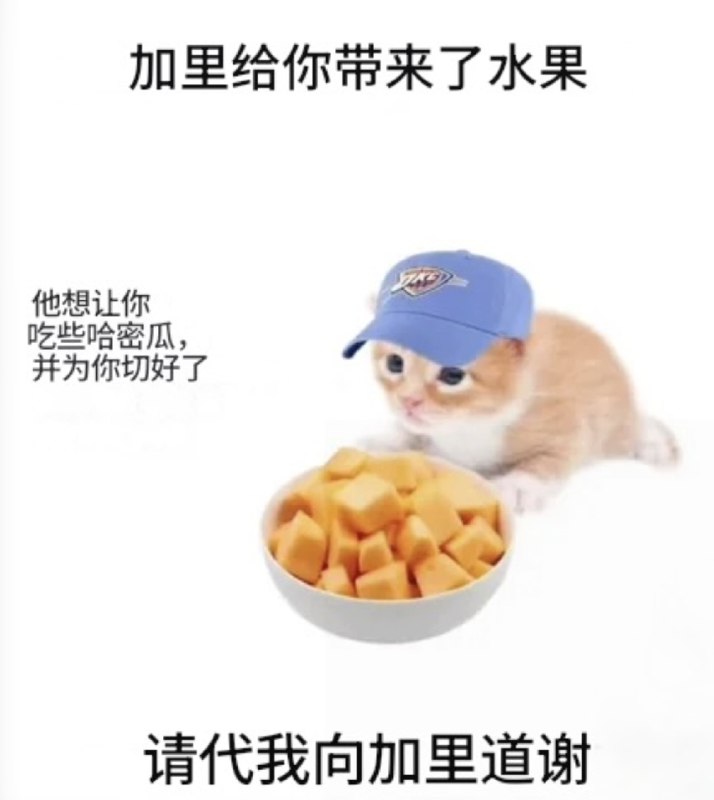 HeHeDa: 