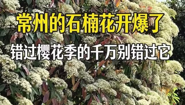 咖喱prime: jandan.net/t/6140982OO: 134 XX: 8