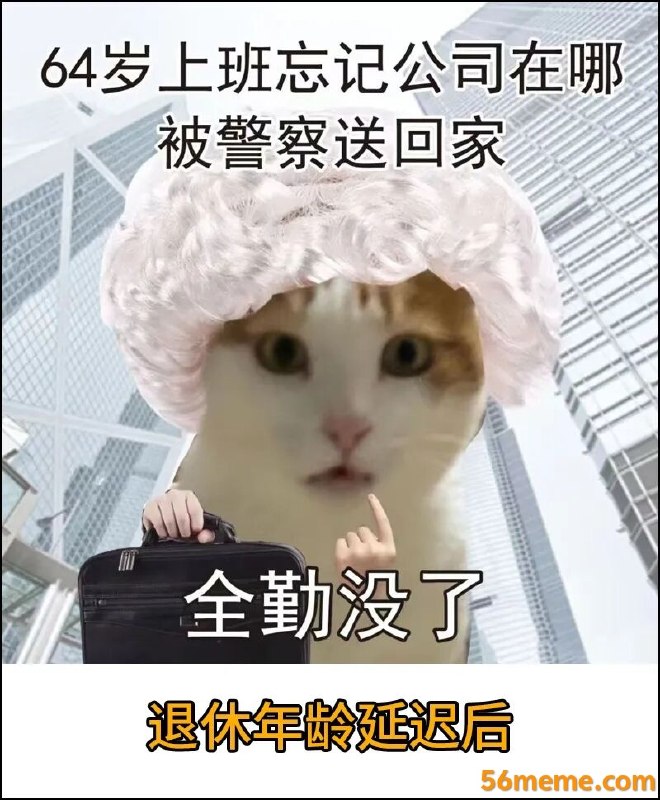 Jojo123: jandan.net/t/6140698OO: 148 XX: 4鲸落: 64岁还有工作？想多了，无非是不给发退休金，还要自己继续交社保而已
