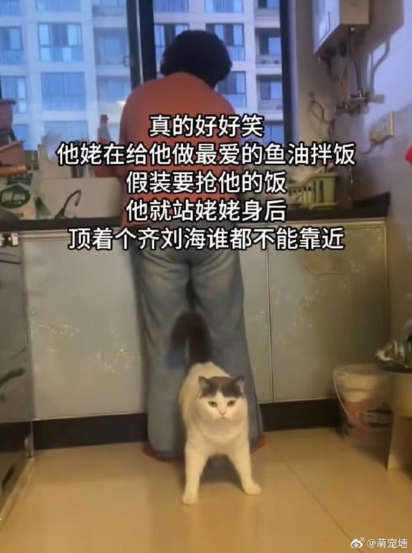 杯面骑士: jandan.net/t/6126662OO: 162 XX: 11蛋友e6590d0856cd8: 是微分碎盖OO: 39, XX: 0meng: You shall not passOO: 11, XX: 0