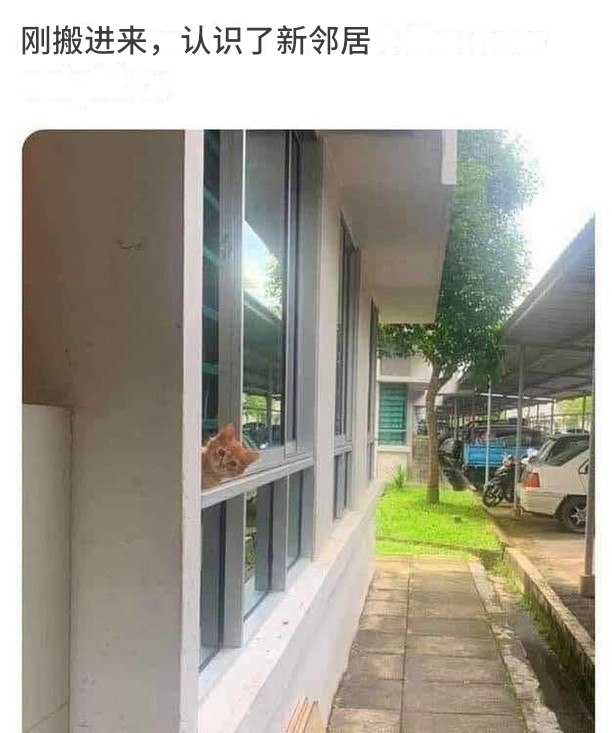 HeHeDa: 