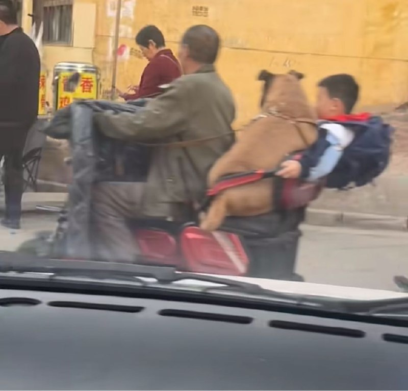 Q_Z: jandan.net/t/6127688OO: 134 XX: 3性别男: 世子之争OO: 29, XX: 0Q_Z: jandan.net/t/6127688OO: 134 XX: 3性别男: 世子之争OO: 29, XX: 0