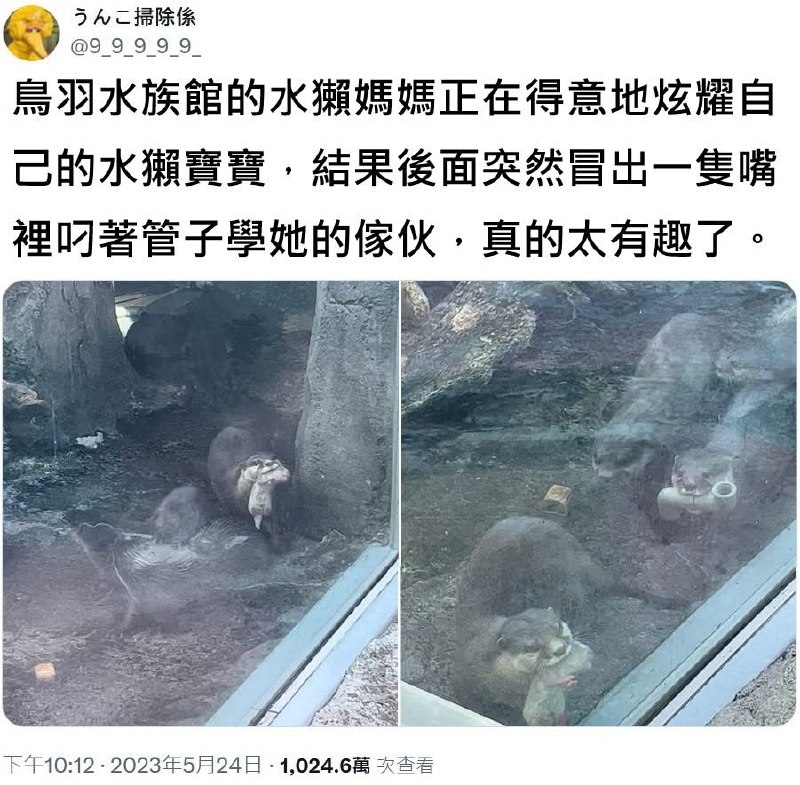方枪枪: 