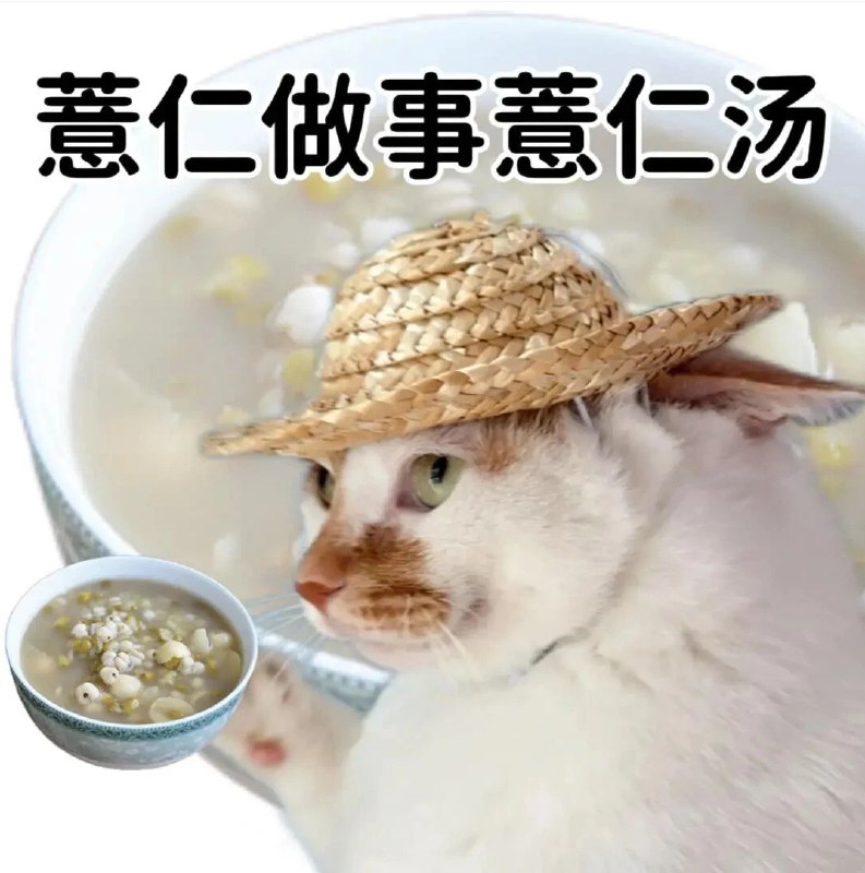 ASDZXC: 