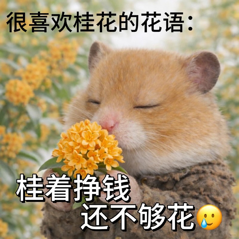 俱舍莲帝: 