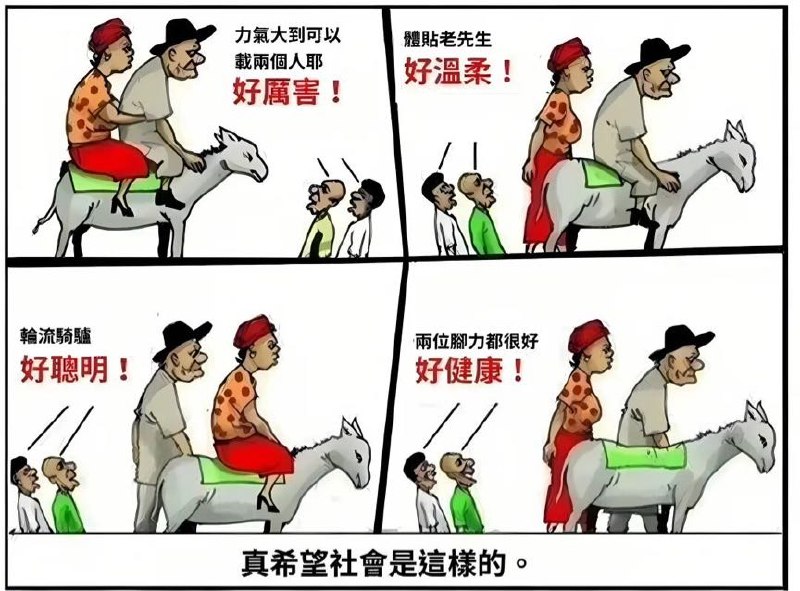 猫猫能有什么: 