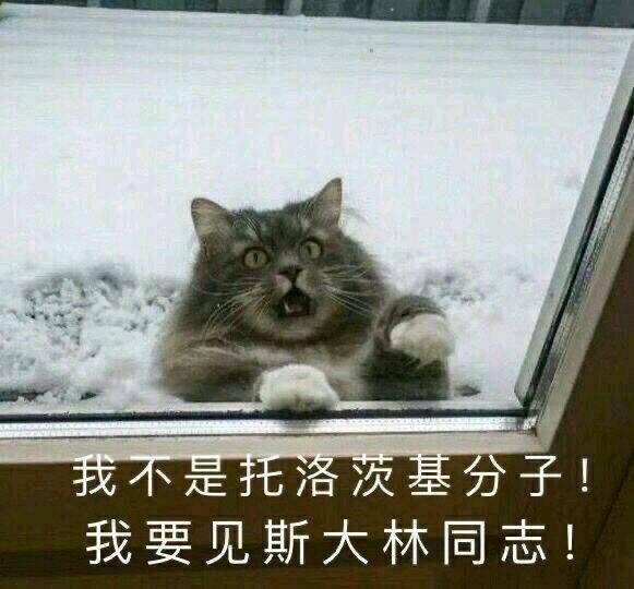 HeHeDa: 