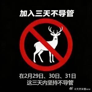 杯面骑士: 