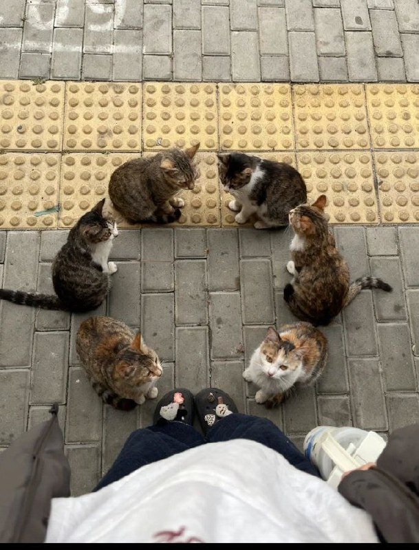 多吃薯条: jandan.net/t/6129740OO: 142 XX: 4雷疯: 你再敢往前一步就要进入我们的陷阱OO: 27, XX: 1