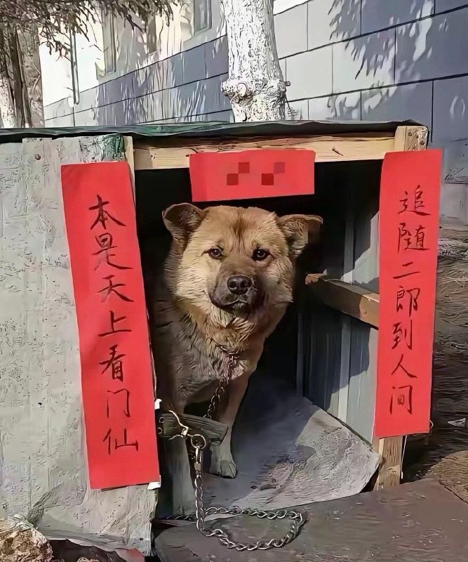 HeHeDa: 