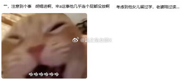 杯面骑士: 