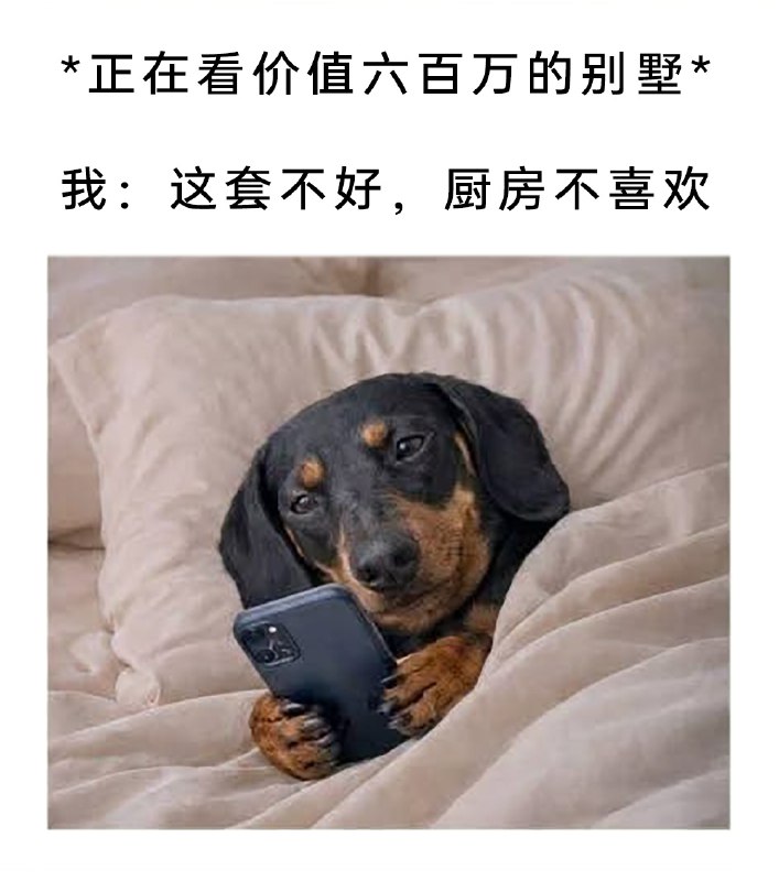 嗷嗷嗷: 