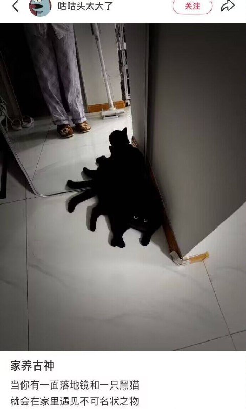 找屎大王: 