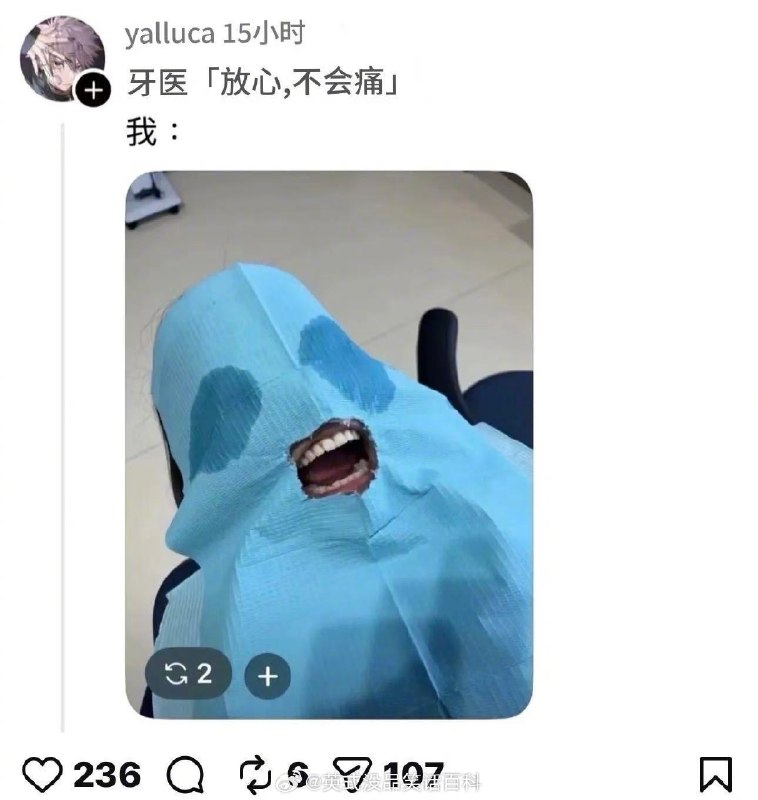 杯面骑士: 