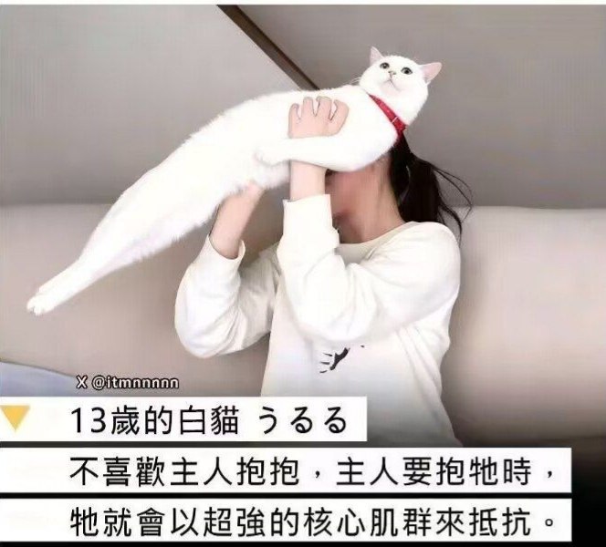 种田能手: 