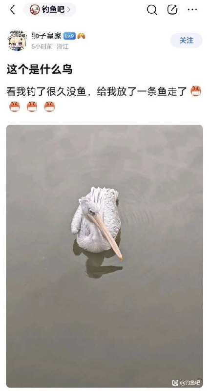 Jaime_哈伊枚: jandan.net/t/6130363OO: 133 XX: 6大水怪出没请注意: 空军的一生之敌啊OO: 47, XX: 0黯紫: 算鸟算鸟OO: 21, XX: 0