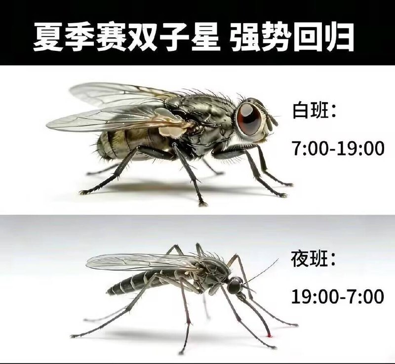 泡饭: 