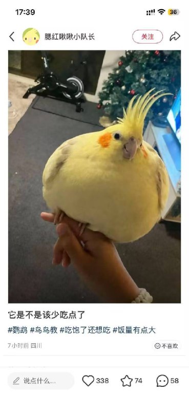 杯面骑士: 