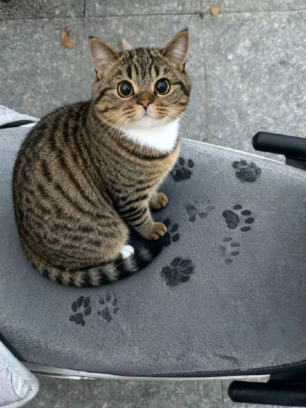 kasusa: jandan.net/t/6128149OO: 134 XX: 8蛋友e5e32dcff41a0: 虽然一眼AI单还是多来点