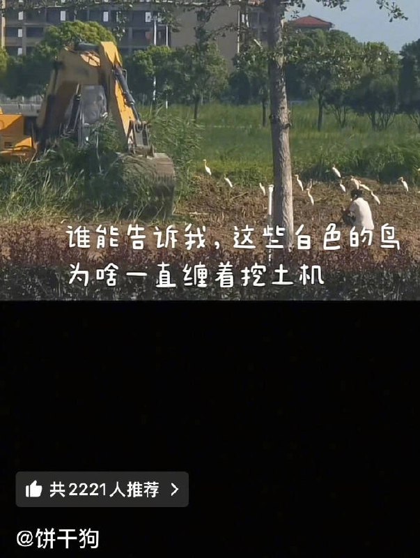 种田能手: 