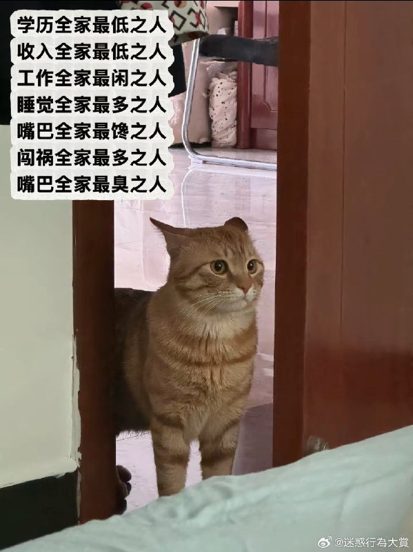 杯面骑士: jandan.net/t/6138558OO: 122 XX: 15我爱你你爱我: 蛋友16fd7570b1e3c 存在那种“你在吃饭，猫在桌子下面喵喵叫，你就能闻见口臭味”的猫OO: 32, XX: 0蛋友张三: 之喵，不短OO: 6, XX: 0