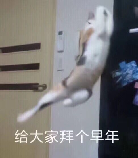 蟑螂奶糖: 
