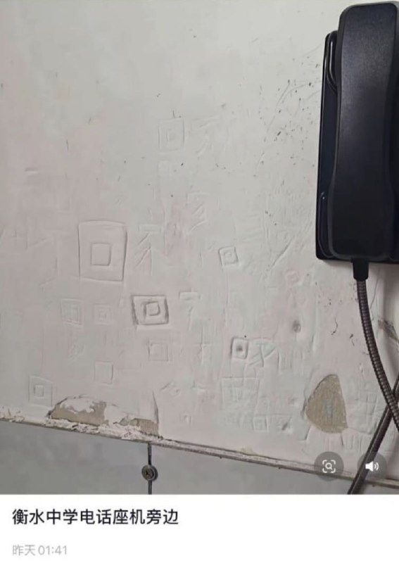 鱼鱼鱼: 