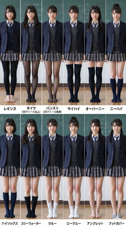 鱼鱼鱼: 