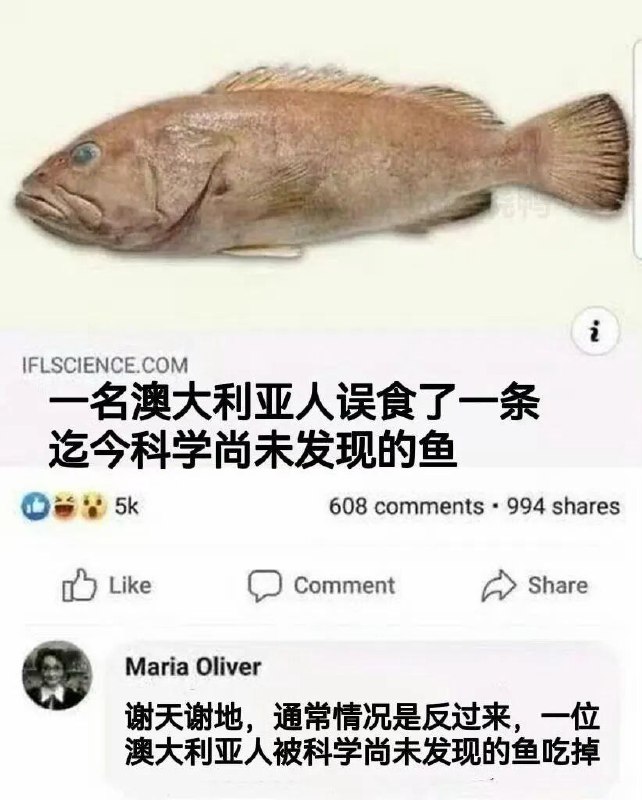 种田能手: 